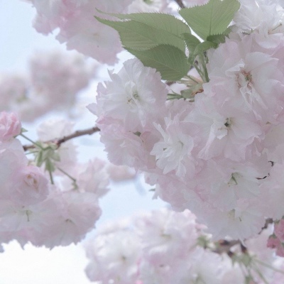 兽设沙漠场景设计兽圈社群